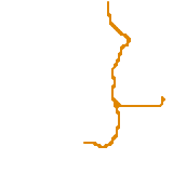 Orlando Sunrail (real)