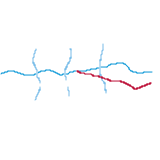 Maths Curriculum at Pates