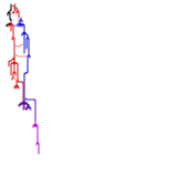 British Royals (unknown)