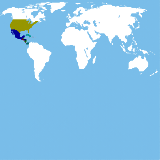 worldmap (speculative)