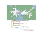 Watsonia - Revised (unknown)