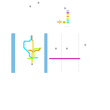 Seattle (speculative)