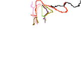 New York City (unknown)