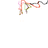 New York City (unknown)