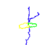 Erie-suttano (unknown)